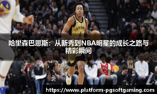 关键词4